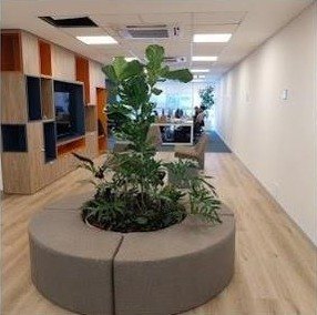 Banco circular con plantas en el centro de la oficina
