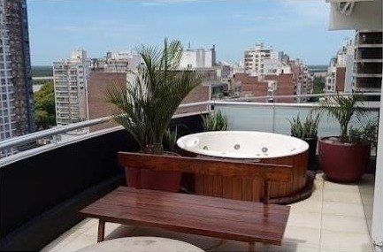 Terraza con hidromasaje, banco de madera y palmeras en maceta